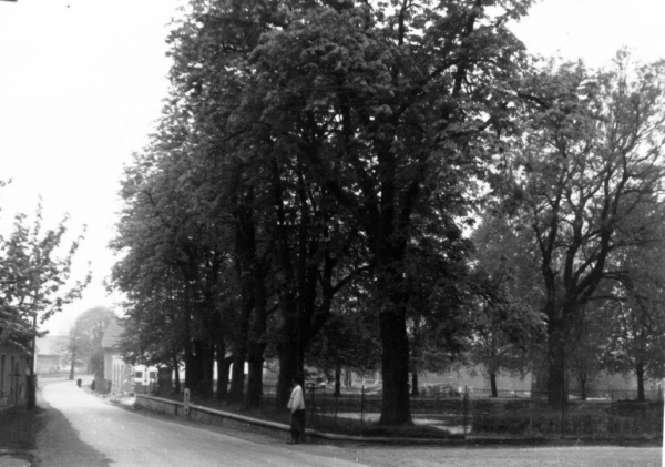 Historie obce Slatina