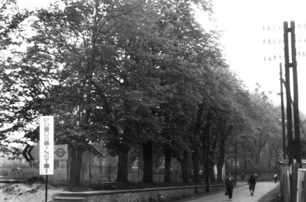 Historie obce Slatina