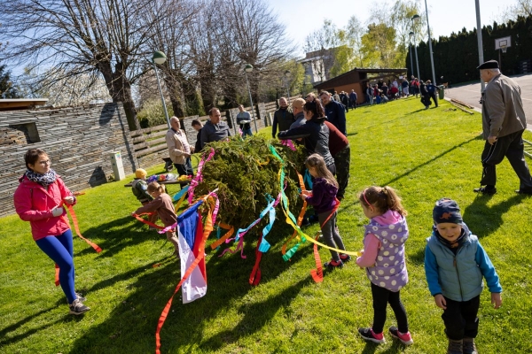 Poslední dubnový den patřil stavění máje u kulturního domu