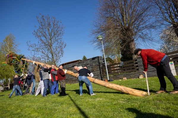 Poslední dubnový den patřil stavění máje u kulturního domu