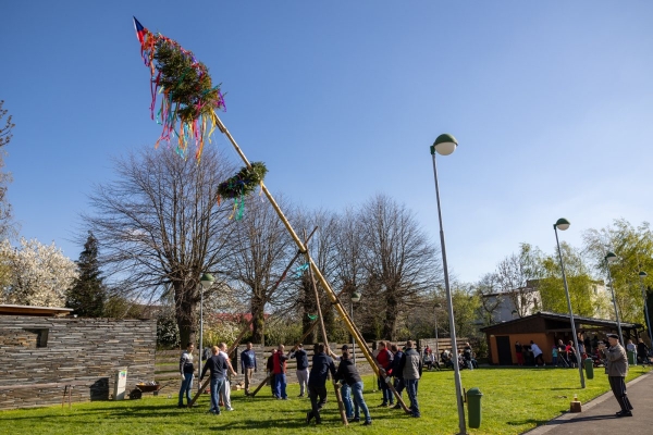Poslední dubnový den patřil stavění máje u kulturního domu