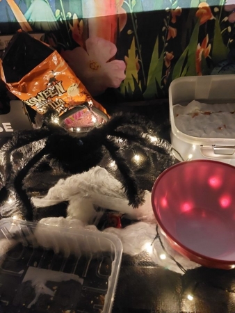 Tradiční dlabání dýní u kulturního domu oslavilo Haloween