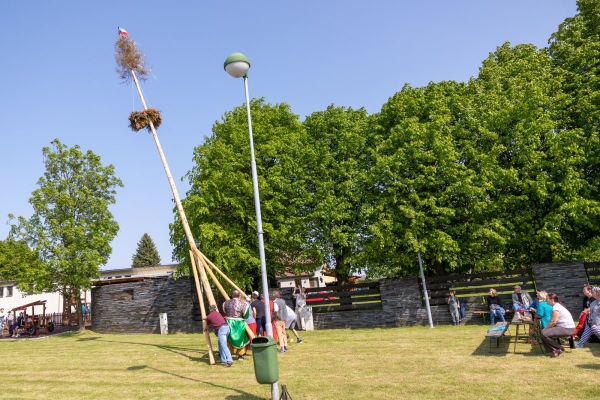 Kácení máje bylo spojeno s oslavami 135 let od založení místního hasičského sboru