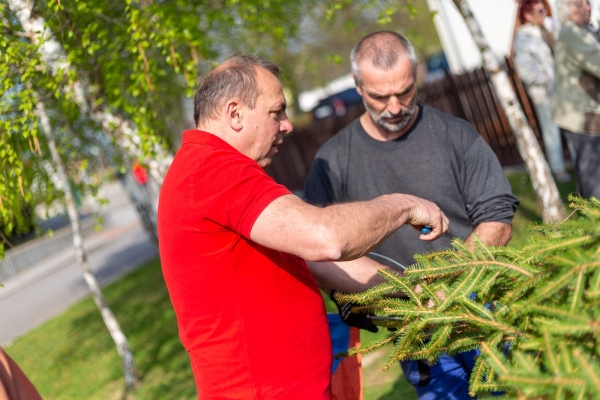 Po dvouleté pauze stojí za kulturním domem májka