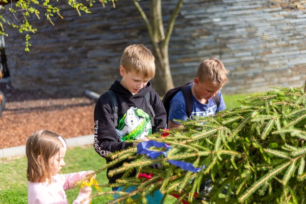 Po dvouleté pauze stojí za kulturním domem májka