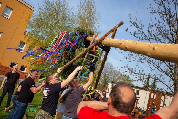 Po dvouleté pauze stojí za kulturním domem májka