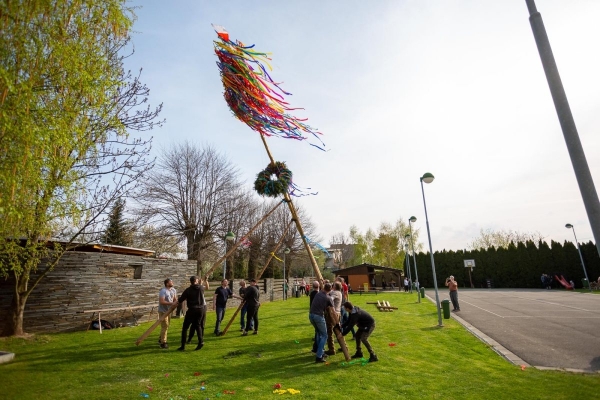 Po dvouleté pauze stojí za kulturním domem májka