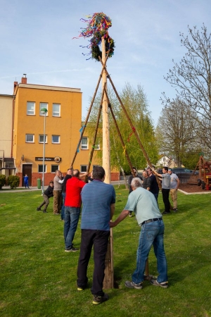 Po dvouleté pauze stojí za kulturním domem májka