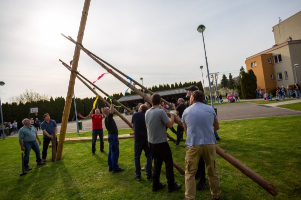 Po dvouleté pauze stojí za kulturním domem májka