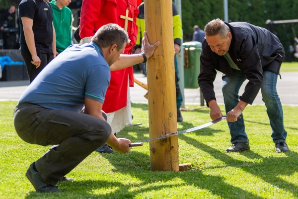 Po dvouleté přestávce jsme u kulturního domu veřejně pokáceli májku