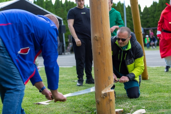 Po dvouleté přestávce jsme u kulturního domu veřejně pokáceli májku