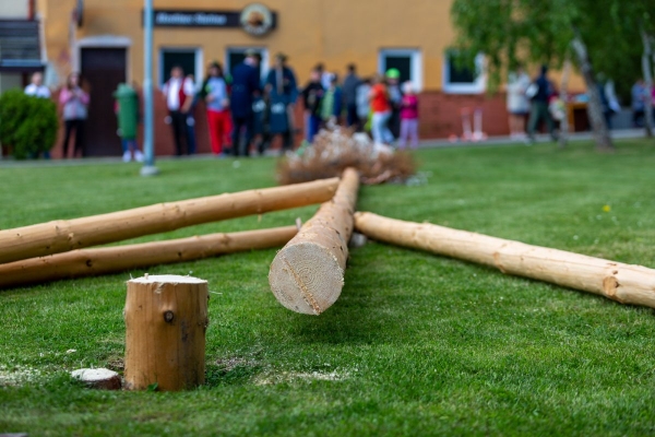 Po dvouleté přestávce jsme u kulturního domu veřejně pokáceli májku