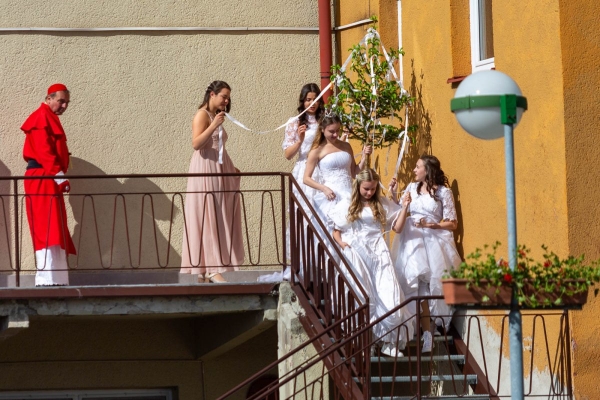 Po dvouleté přestávce jsme u kulturního domu veřejně pokáceli májku