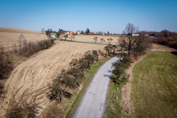 Začala obnova stromů lemující cestu ze Slatiny na Nový Svět, vyrostou tam nové švestky