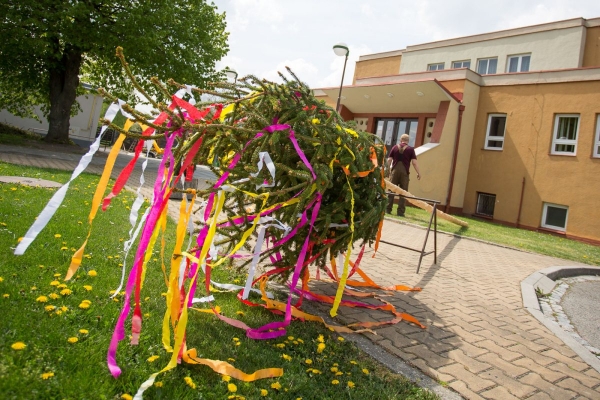 Letošní stavění máje proběhlo bez účasti veřejnosti, tradici jsme však upadnout nenechali