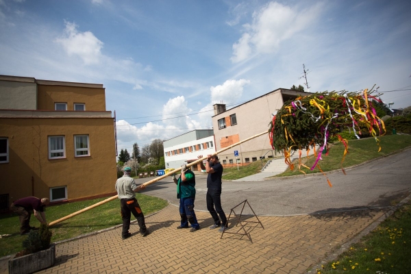 Letošní stavění máje proběhlo bez účasti veřejnosti, tradici jsme však upadnout nenechali