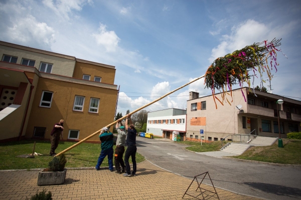Letošní stavění máje proběhlo bez účasti veřejnosti, tradici jsme však upadnout nenechali