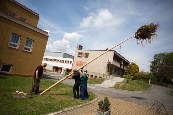 Letošní stavění máje proběhlo bez účasti veřejnosti, tradici jsme však upadnout nenechali