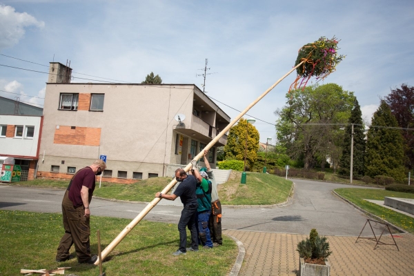 Letošní stavění máje proběhlo bez účasti veřejnosti, tradici jsme však upadnout nenechali