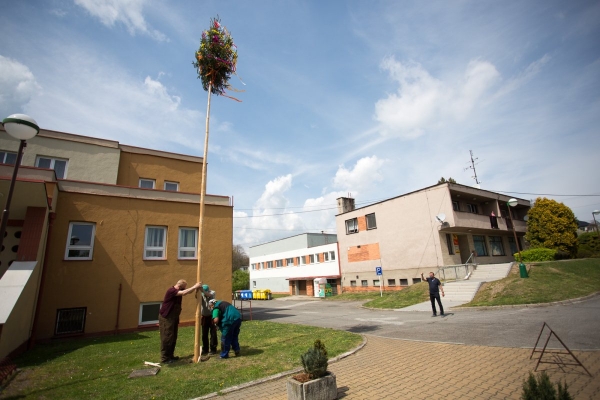 Letošní stavění máje proběhlo bez účasti veřejnosti, tradici jsme však upadnout nenechali