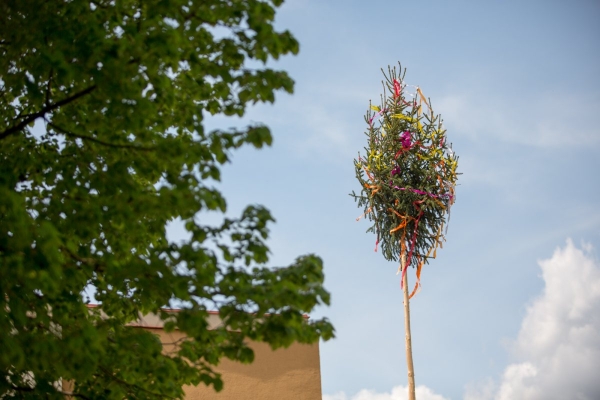 Letošní stavění máje proběhlo bez účasti veřejnosti, tradici jsme však upadnout nenechali