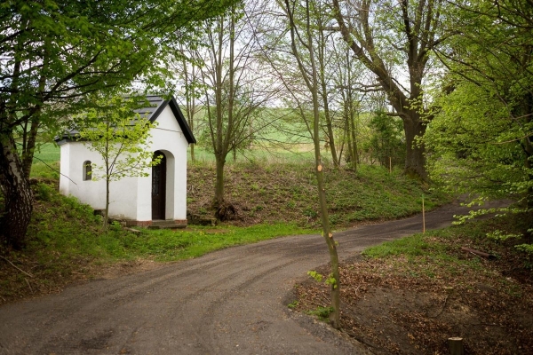 Výstavba komunikace okolo kapličky Cyrila a Metoděje k rybníku nad Ohradou je v plném proudu