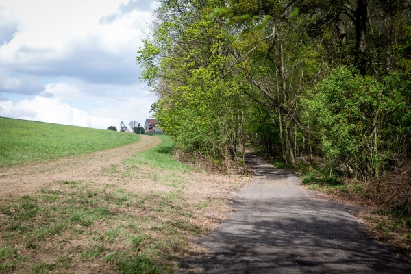 Výstavba komunikace okolo kapličky Cyrila a Metoděje k rybníku nad Ohradou je v plném proudu