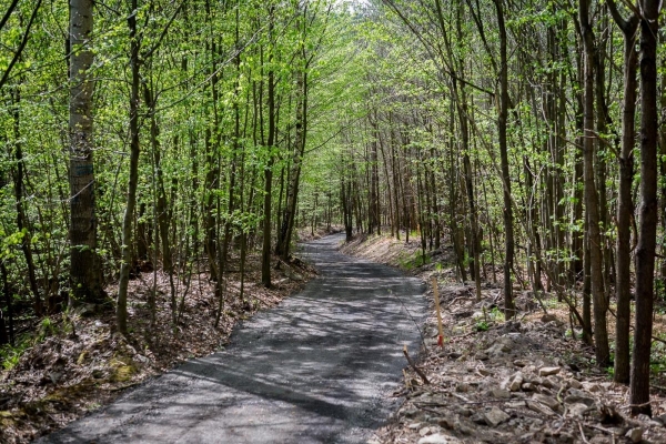 Výstavba komunikace okolo kapličky Cyrila a Metoděje k rybníku nad Ohradou je v plném proudu