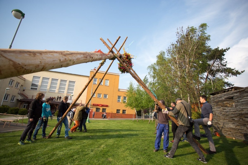 U kulturního domu stojí májka, zkušení stavitelé si poradili i se silným větrem