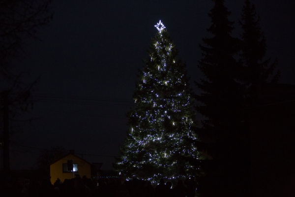 Mikulášská nadílka byla letos spojena s rozsvícením vánočního stromu