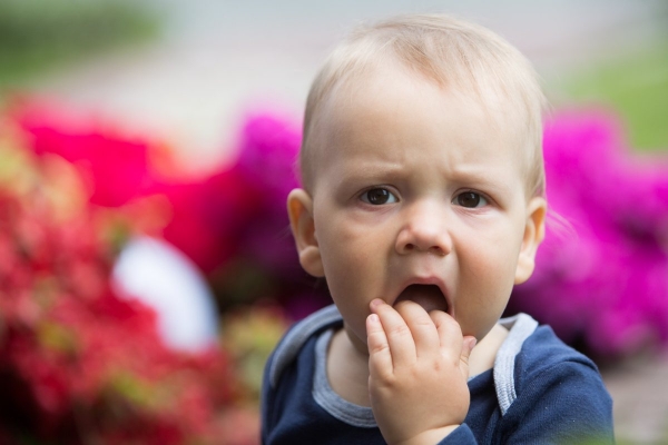 Kácení máje bylo zahájeno dopoledním „pozýváním“ s hlasitou střelbou a občerstvením