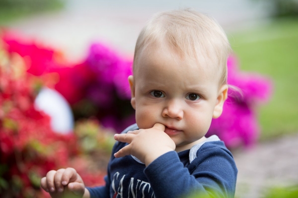 Kácení máje bylo zahájeno dopoledním „pozýváním“ s hlasitou střelbou a občerstvením