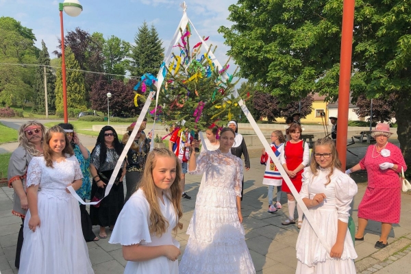 Kácení máje bylo zahájeno dopoledním „pozýváním“ s hlasitou střelbou a občerstvením