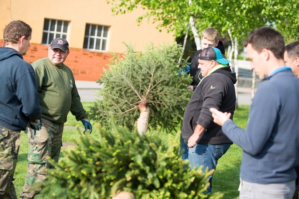 U kulturního domu stojí májka, zkušení stavitelé si poradili i se silným větrem