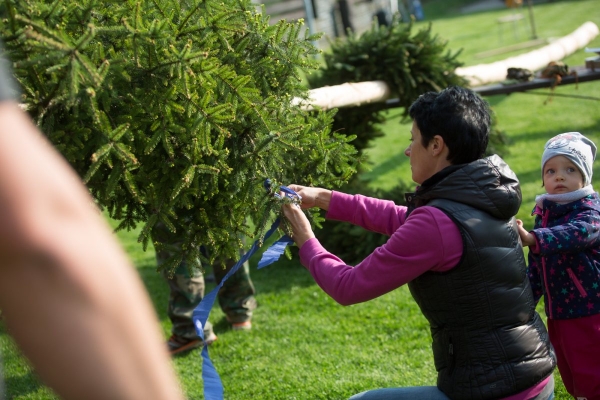 U kulturního domu stojí májka, zkušení stavitelé si poradili i se silným větrem