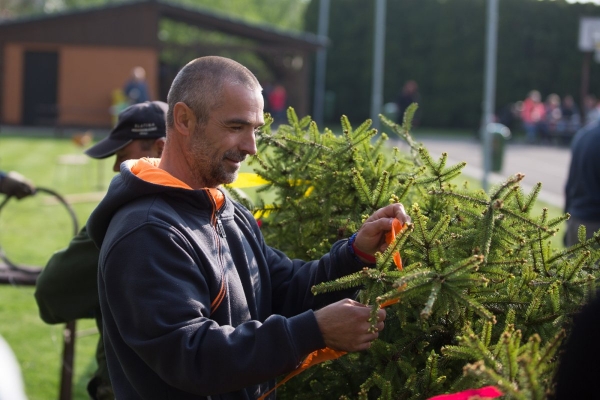 U kulturního domu stojí májka, zkušení stavitelé si poradili i se silným větrem