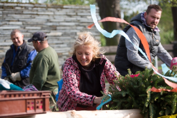 U kulturního domu stojí májka, zkušení stavitelé si poradili i se silným větrem