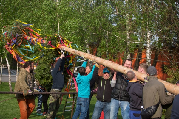 U kulturního domu stojí májka, zkušení stavitelé si poradili i se silným větrem