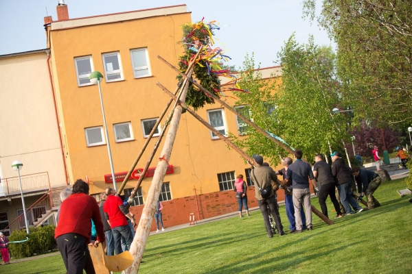 U kulturního domu stojí májka, zkušení stavitelé si poradili i se silným větrem