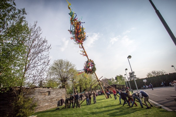 U kulturního domu stojí májka, zkušení stavitelé si poradili i se silným větrem