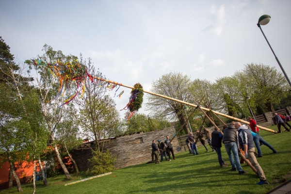 U kulturního domu stojí májka, zkušení stavitelé si poradili i se silným větrem