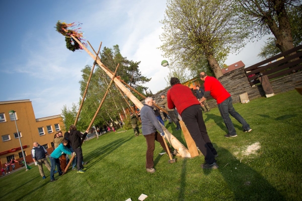 U kulturního domu stojí májka, zkušení stavitelé si poradili i se silným větrem