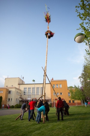 U kulturního domu stojí májka, zkušení stavitelé si poradili i se silným větrem