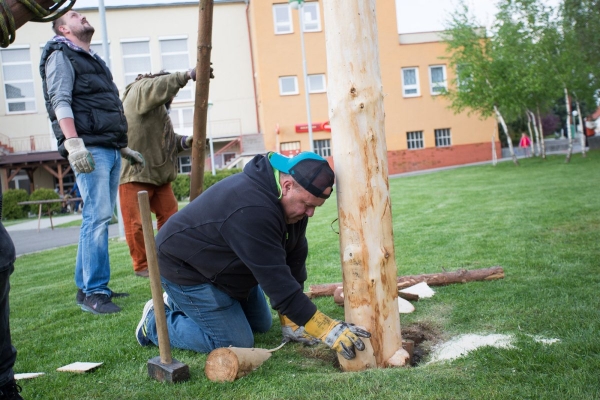 U kulturního domu stojí májka, zkušení stavitelé si poradili i se silným větrem
