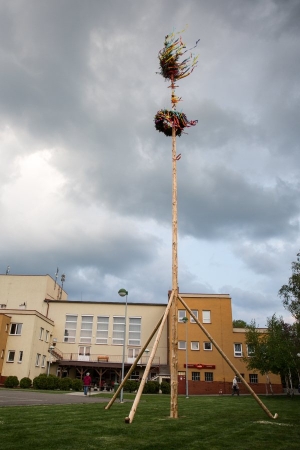 U kulturního domu stojí májka, zkušení stavitelé si poradili i se silným větrem