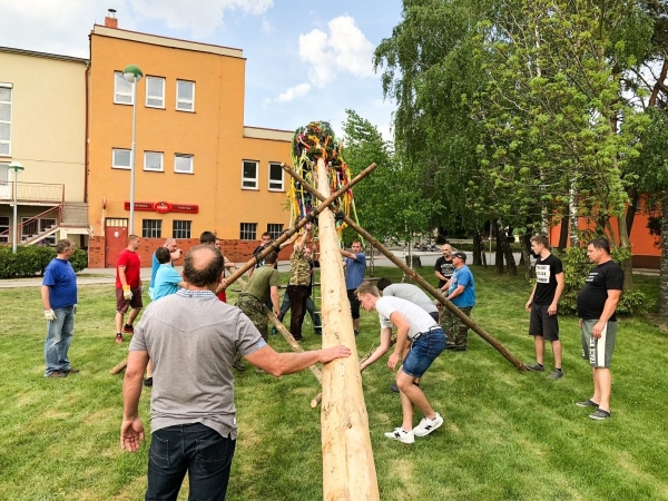 Postavit májku se podařilo na první pokus, zdobí prostranství u kulturního domu
