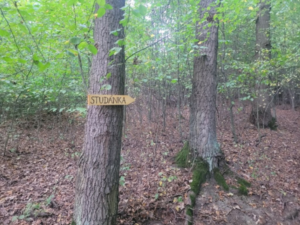 Nové odpočinkové místo a obnovená studánka pod Kostelním lesem